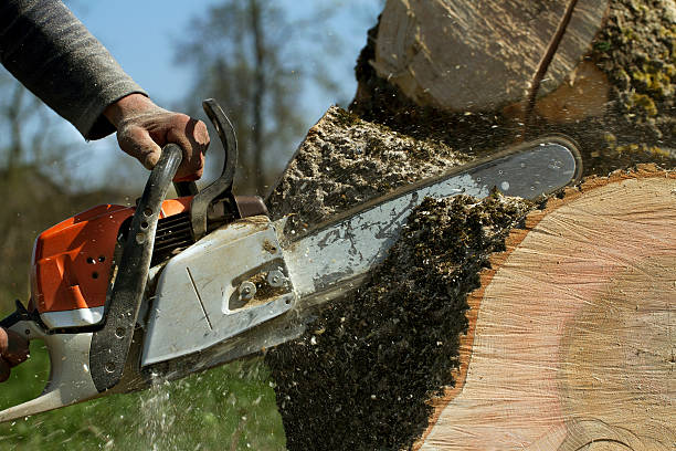 Lawn Grading and Leveling in Salem, AR